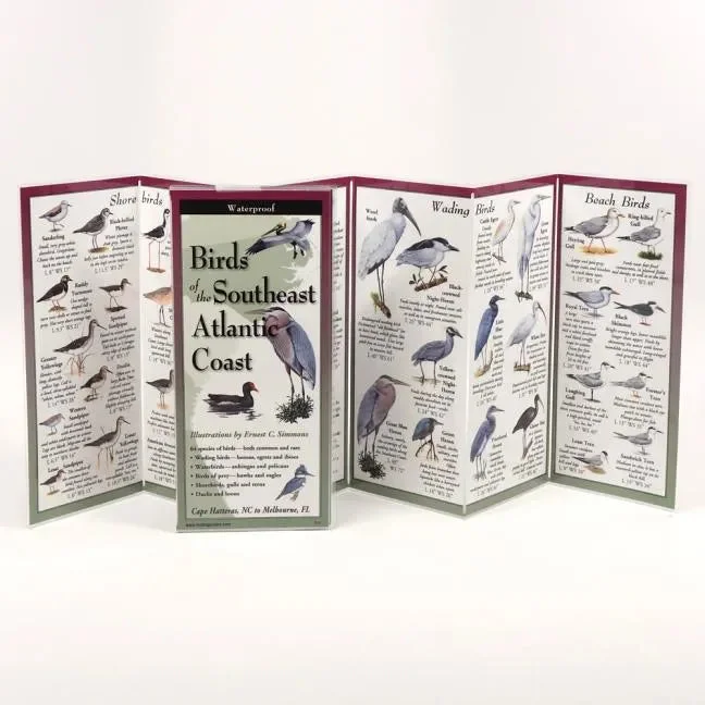 booksby.splitshops-42345273