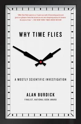 booksnthingswarehouse-11522988