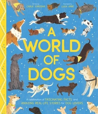booksnthingswarehouse-11646579
