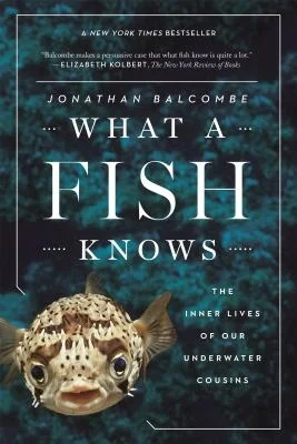 booksnthingswarehouse-11831365
