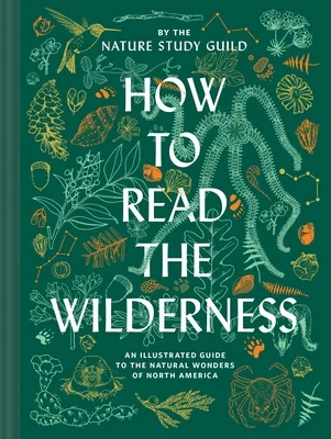 booksnthingswarehouse-21303706