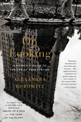 booksnthingswarehouse-21418094
