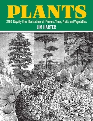 booksnthingswarehouse-21743352