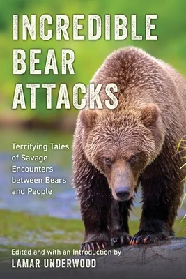 booksnthingswarehouse-31482540