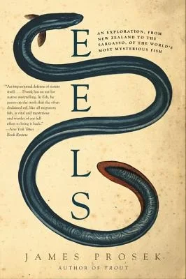 booksnthingswarehouse-31504047