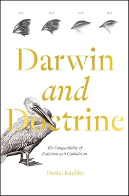 booksnthingswarehouse-31675720