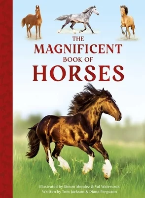 booksnthingswarehouse-31766596
