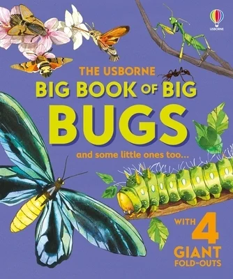 booksnthingswarehouse-31775741
