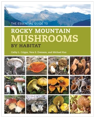 booksnthingswarehouse-31785852