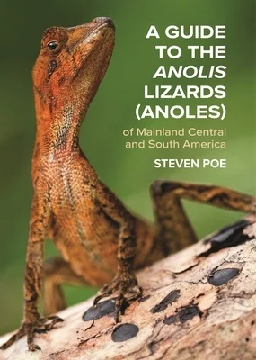booksnthingswarehouse-31893169