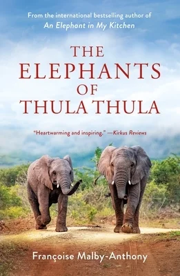 booksnthingswarehouse-32185185