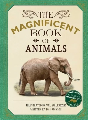 booksnthingswarehouse-32284137