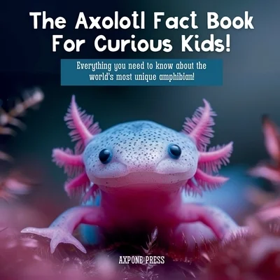 booksnthingswarehouse-41521028