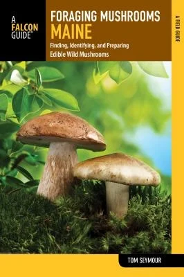 booksnthingswarehouse-41551956