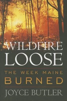 booksnthingswarehouse-41715736