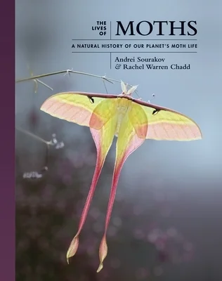booksnthingswarehouse-42141432