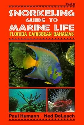 booksnthingswarehouse-42275230