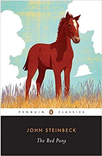 booksnthingswarehouse1072343