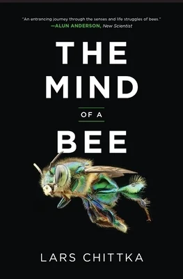 booksnthingswarehouse1163711