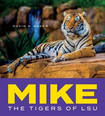 booksnthingswarehouse958646