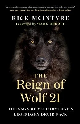 booksnthingswarehouse965767