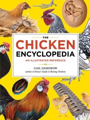 booksnthingswarehouse980591