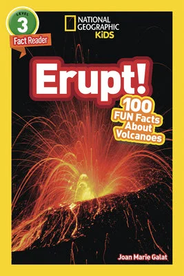 flowerburst-21308684