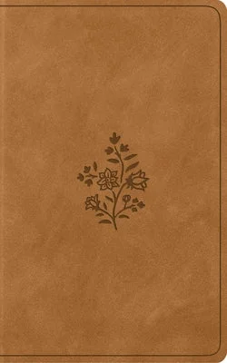 flowerburst-41192600
