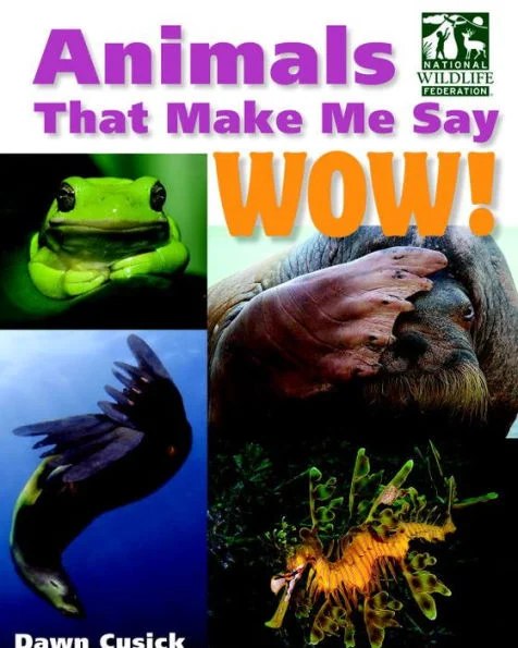 massivebookshop-21392649