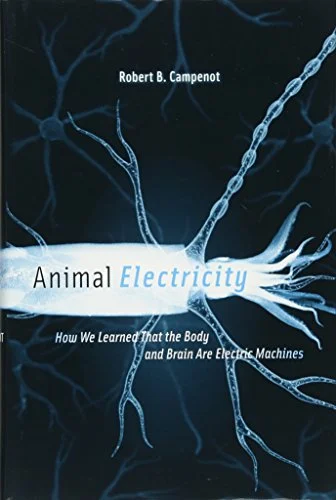 massivebookshop-31388662