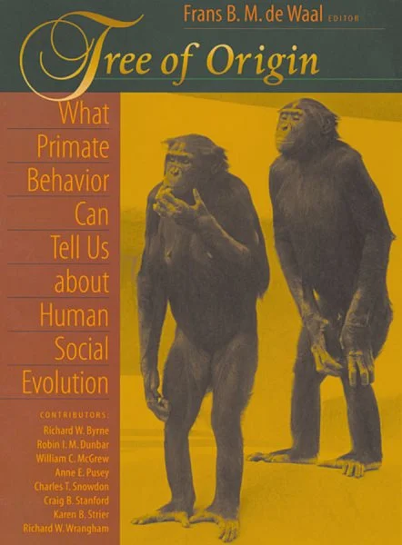 massivebookshop-31396676