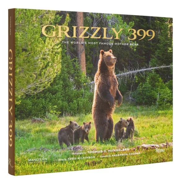 massivebookshop-32039263