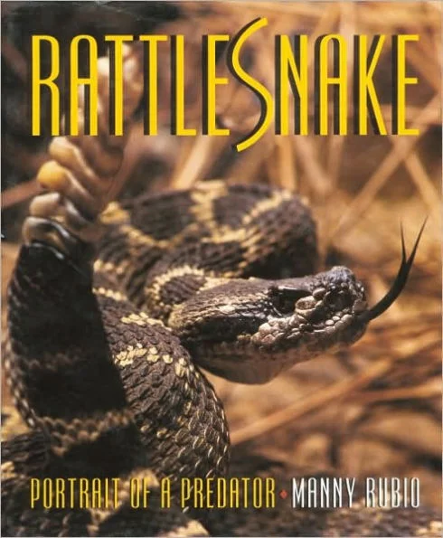 massivebookshop-42348603
