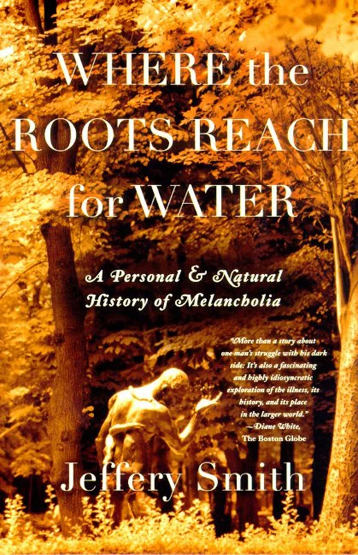roundaboutbookstore-11431649