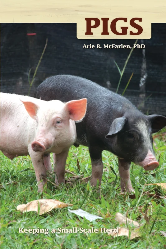 roundaboutbookstore-11499577
