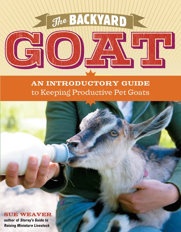 roundaboutbookstore-11500277