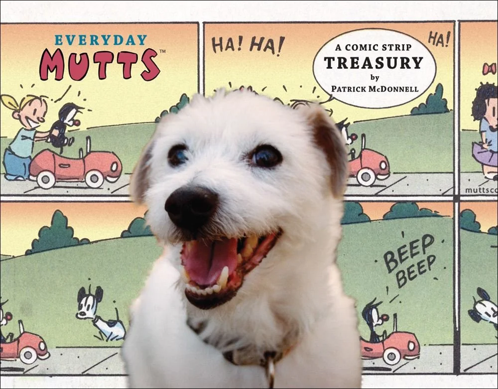 roundaboutbookstore-11527206