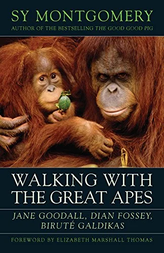 roundaboutbookstore-11581965