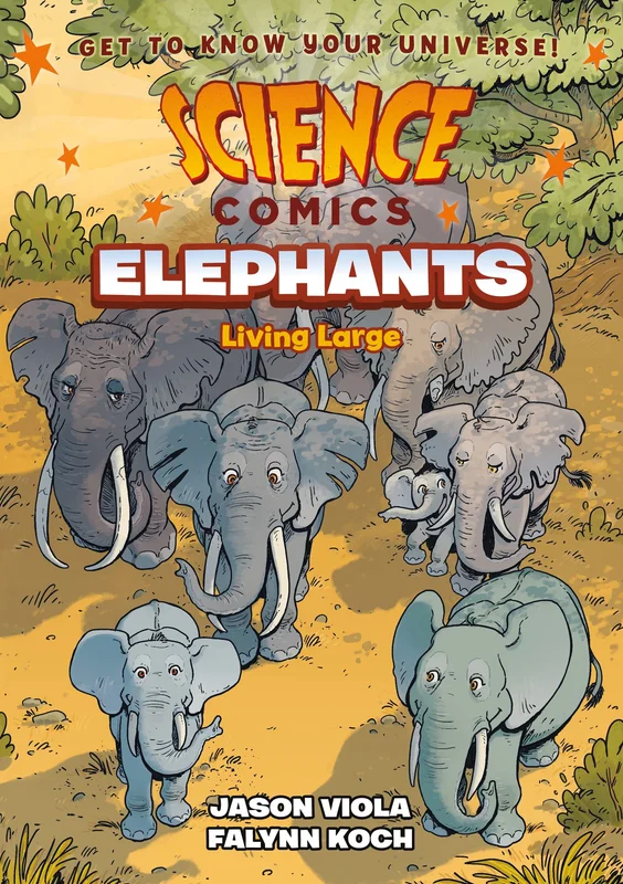 roundaboutbookstore-11587068