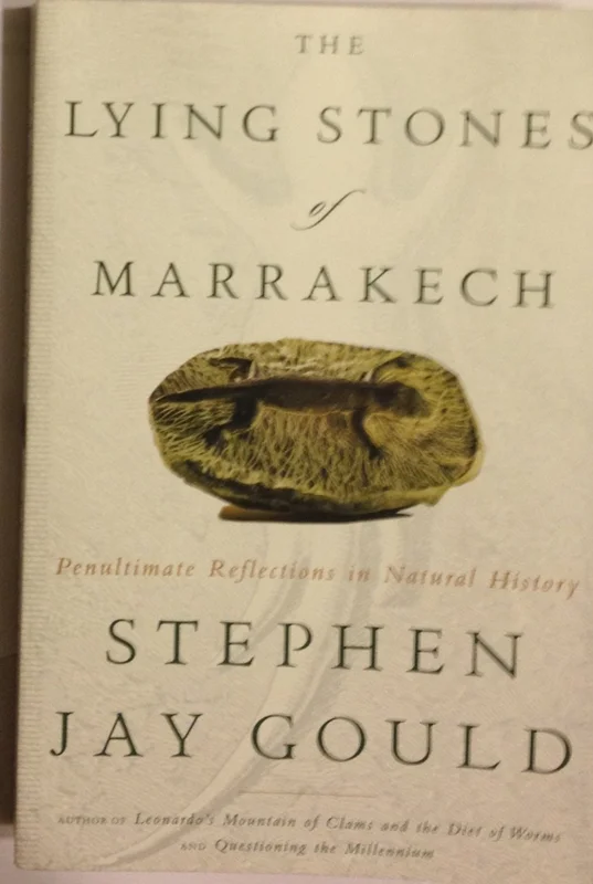 roundaboutbookstore-11621002