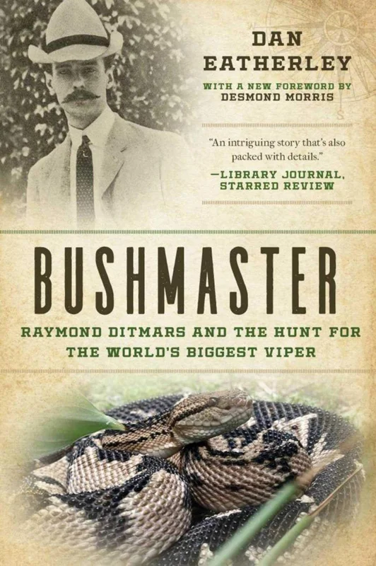 roundaboutbookstore-11659296