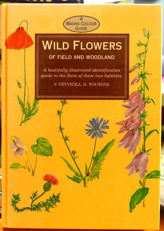 roundaboutbookstore-11670457