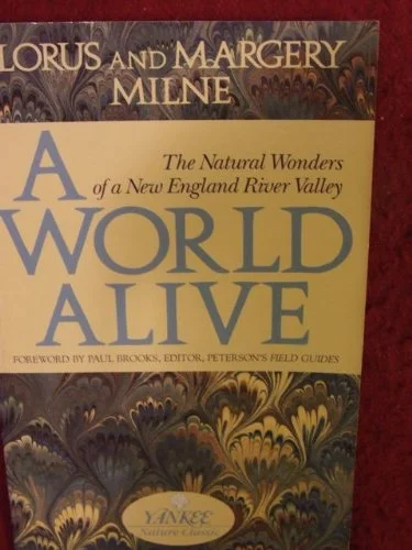 roundaboutbookstore-11672942