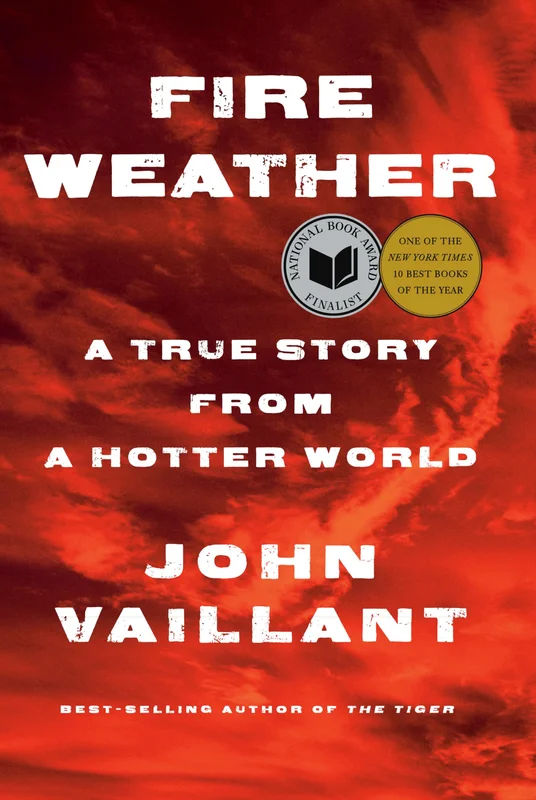 roundaboutbookstore-11722175
