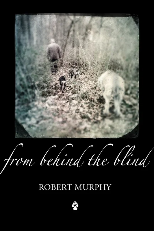 roundaboutbookstore-11773130