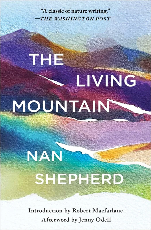 roundaboutbookstore-11819777