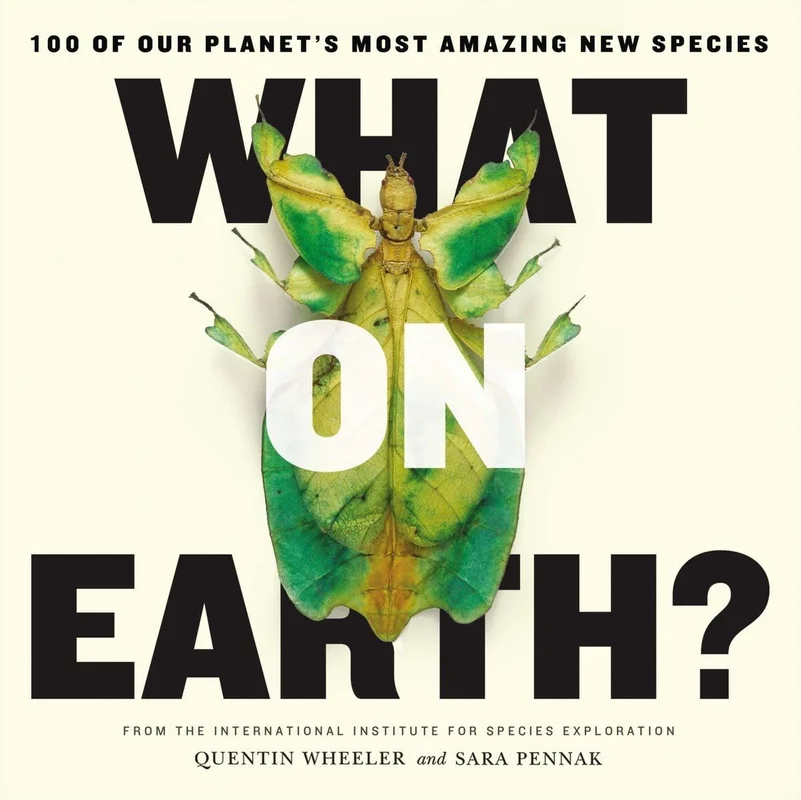 roundaboutbookstore-11889403