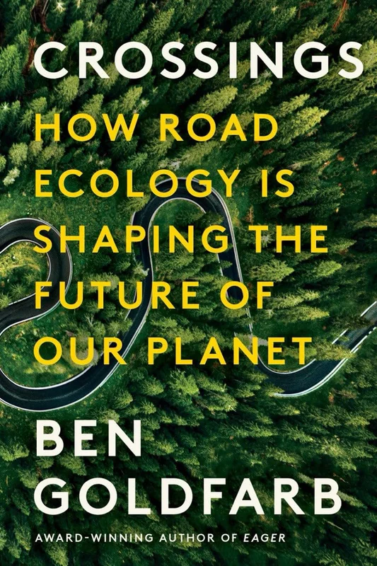 roundaboutbookstore1024603