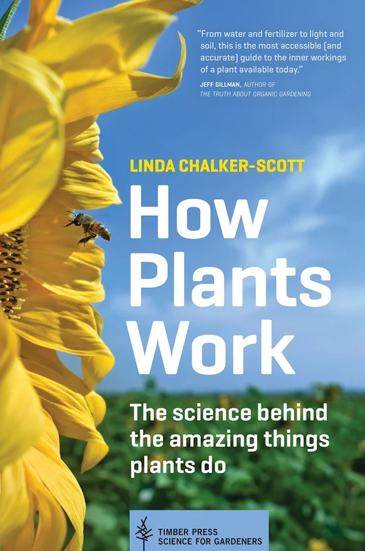 roundaboutbookstore1124847