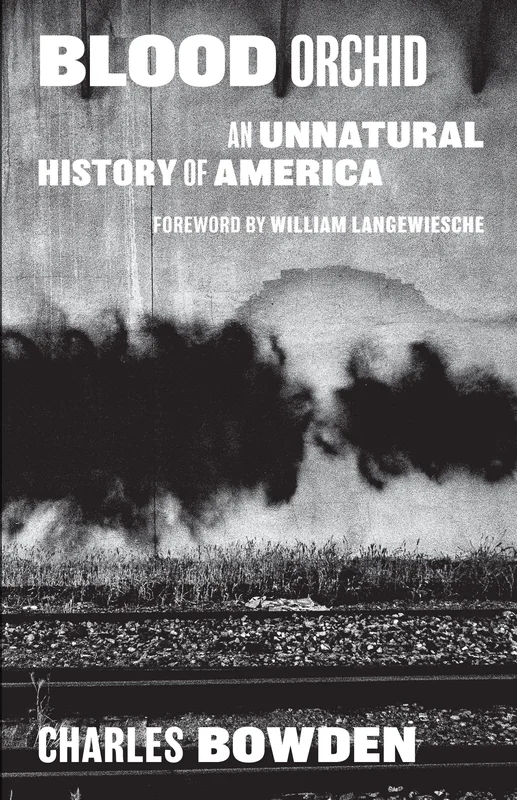 roundaboutbookstore1253063